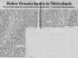 rhein-neckar-zeitung 09.07.1970 brand hildenbrand